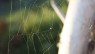 Etiam placerat ipsum porttitor ipsum